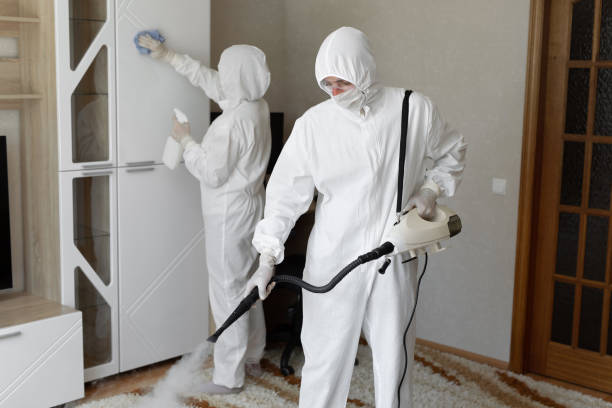 Home Mold Removal in White City, OR